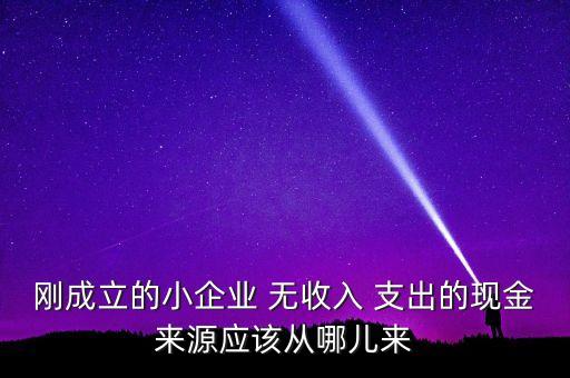 小企業(yè)主為什么沒現(xiàn)金，剛成立的小企業(yè) 無收入 支出的現(xiàn)金來源應(yīng)該從哪兒來