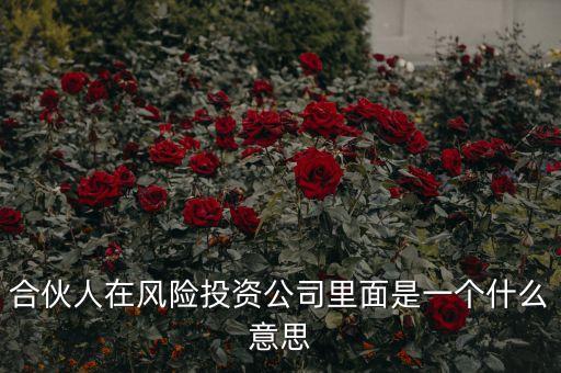 vc合伙人是什么，風險投資公司中的合伙人和經(jīng)理人都是什么意思