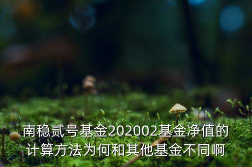 南穩(wěn)二號為什么要分紅，南穩(wěn)貳號基金202002基金凈值的計(jì)算方法為何和其他基金不同啊