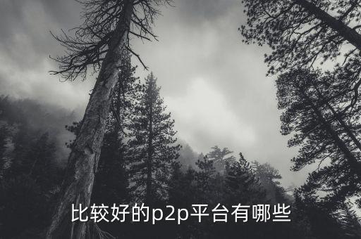 什么p2p平臺比較靠譜，請問國內(nèi)P2P平臺哪家比較安全可靠點想了解下