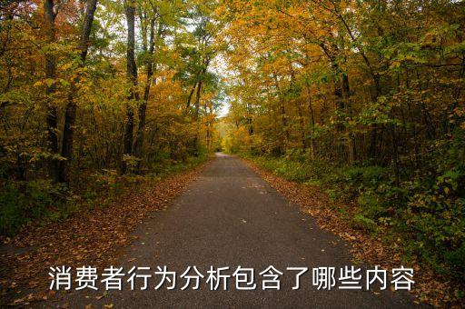 消費者行為分析包含了哪些內容