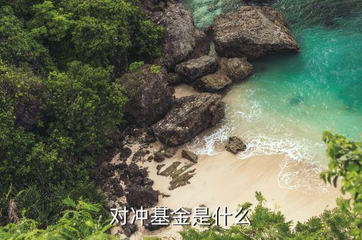 對沖基金是做什么的，對沖基金到底是什么用最簡單的話說
