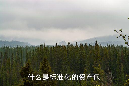 什么屬于標(biāo)準(zhǔn)化資產(chǎn)，標(biāo)準(zhǔn)化資產(chǎn) 什么是標(biāo)準(zhǔn)化資產(chǎn)