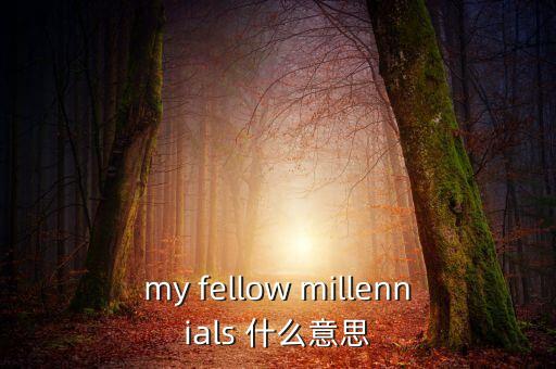 為什么叫千禧一代，my fellow millennials 什么意思