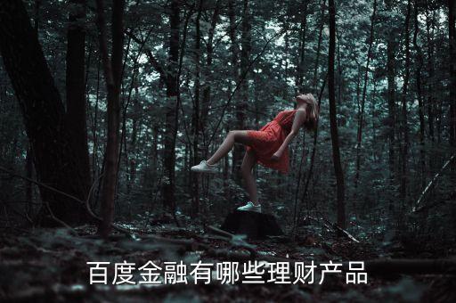 百度有什么理財產(chǎn)品，百度金融有哪些理財產(chǎn)品