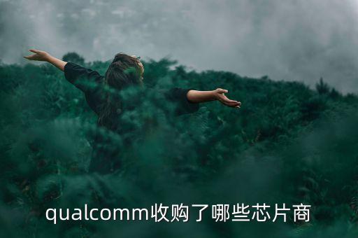 保千里收購(gòu)什么公司，保千里股票以前叫什么