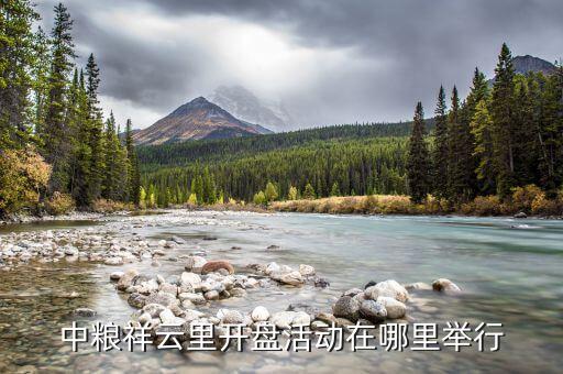 龍崗愛聯(lián)中糧祥云什么時(shí)候開盤，中糧祥云創(chuàng)意空間什么時(shí)候開盤啊