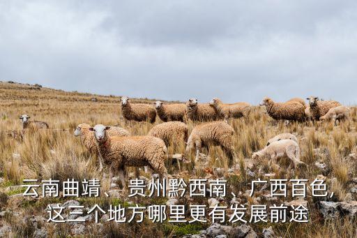 云南曲靖、 貴州黔西南、廣西百色,這三個(gè)地方哪里更有發(fā)展前途