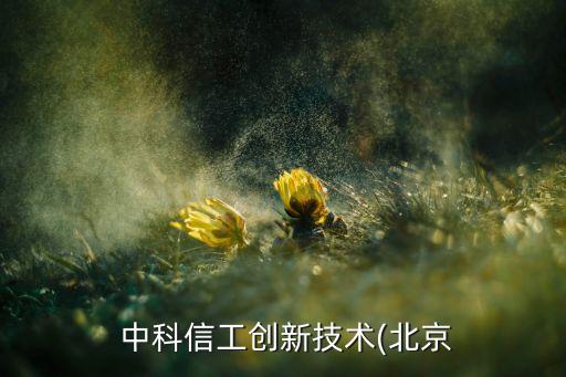 中科信工創(chuàng)新技術(北京