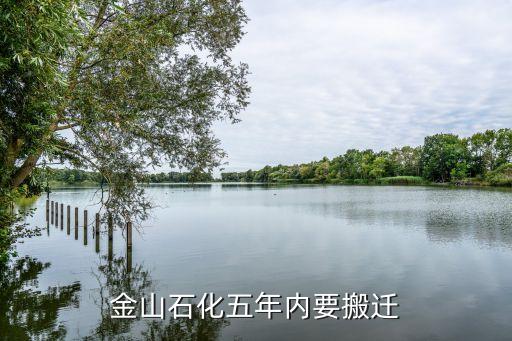 上?；瘜W(xué)工業(yè)區(qū)總體規(guī)劃,洪江市工業(yè)區(qū)總體規(guī)劃