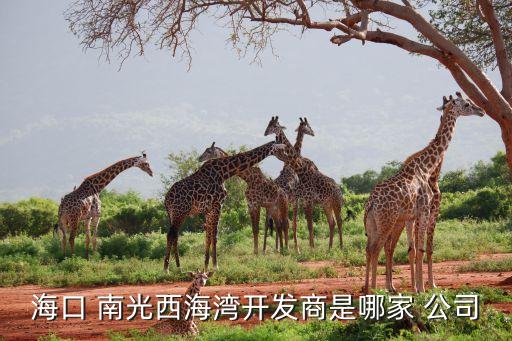 ?？?南光西海灣開發(fā)商是哪家 公司