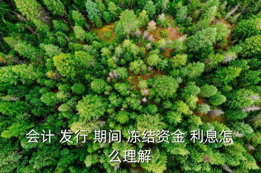 會計(jì) 發(fā)行 期間 凍結(jié)資金 利息怎么理解
