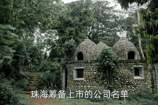  珠?；I備上市的公司名單