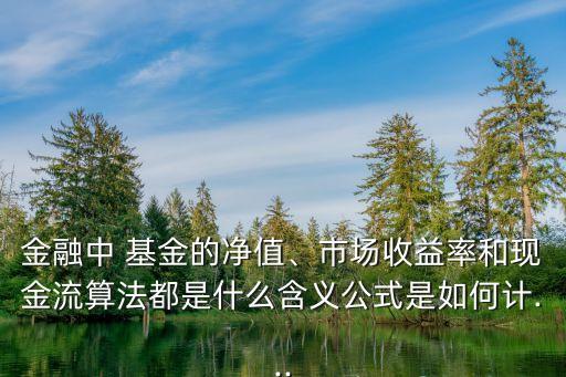 金融中 基金的凈值、市場收益率和現(xiàn)金流算法都是什么含義公式是如何計...