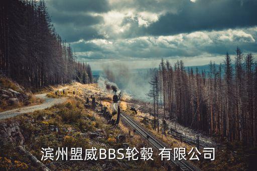 渤?；钊煞萦邢薰臼袌?chǎng)總監(jiān),山東濱州渤海活塞股份有限公司招聘