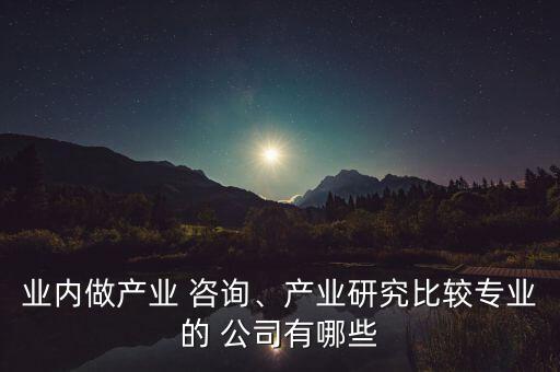 業(yè)內(nèi)做產(chǎn)業(yè) 咨詢、產(chǎn)業(yè)研究比較專業(yè)的 公司有哪些