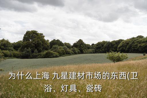 為什么上海 九星建材市場的東西(衛(wèi)浴、燈具、瓷磚