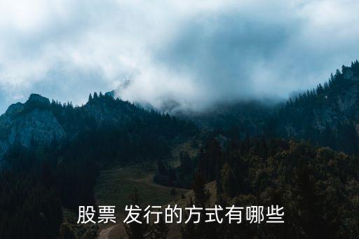 股票網上發(fā)行的基本類型有