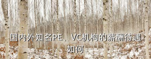 國(guó)內(nèi)外知名PE、VC機(jī)構(gòu)的薪酬待遇如何