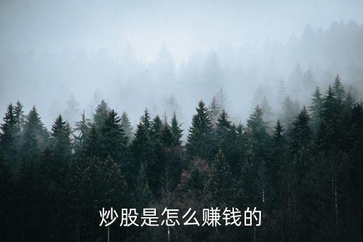股票的盈利方式,股票盈利幾個點(diǎn)就可以賣了