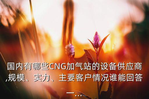 國內(nèi)有哪些CNG加氣站的設備供應商,規(guī)模、實力、主要客戶情況誰能回答一...