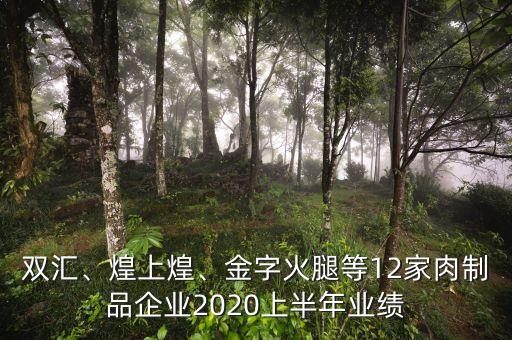 雙匯、煌上煌、金字火腿等12家肉制品企業(yè)2020上半年業(yè)績(jī)