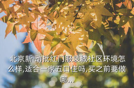  北京新 動(dòng)批紅門(mén)服裝城社區(qū)環(huán)境怎么樣,適合一家五口住嗎,買(mǎi)之前要做哪...
