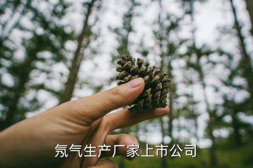 氖氣生產廠家上市公司