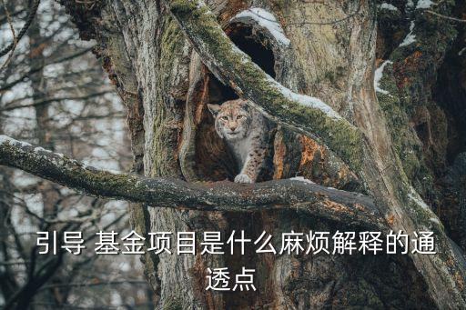  引導(dǎo) 基金項目是什么麻煩解釋的通透點(diǎn)