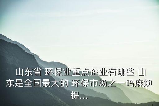 山東魯豐環(huán)?？萍加邢薰?山東綠之能環(huán)保科技有限公司