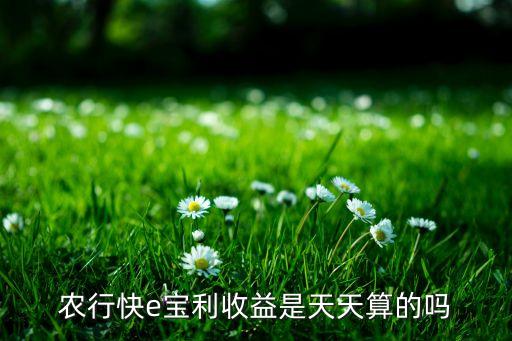 農銀匯理紅利日結貨幣市場基金