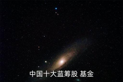 中國十大藍(lán)籌股 基金