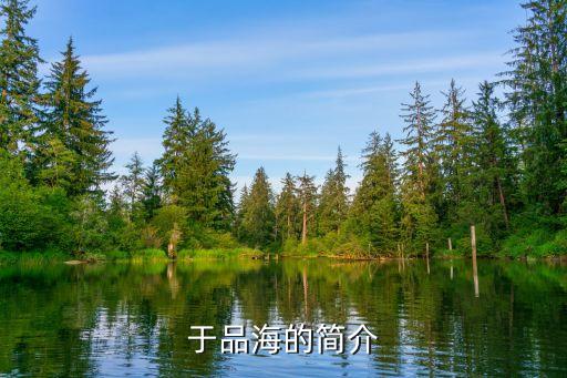 南?？毓善煜鹿?新城控股旗下公司有哪些