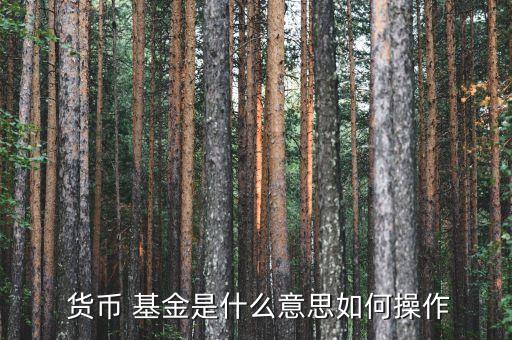 如何購(gòu)買貨幣基金