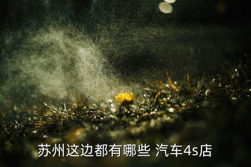 寶信集團(tuán)燕駿汽車(chē)