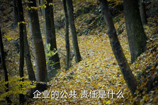 跨國公司社會(huì)責(zé)任實(shí)例,強(qiáng)化跨國公司對(duì)員工社會(huì)責(zé)任的主要手段