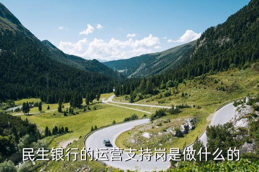  民生銀行的運(yùn)營支持崗是做什么的