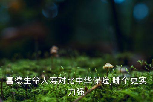 富德生命人壽對比中華保險(xiǎn),哪個更實(shí)力強(qiáng)