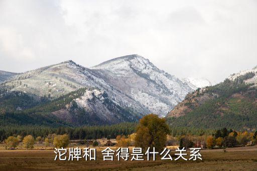舍得酒業(yè)股份和舍得集團,沱牌酒業(yè)和舍得股份的關系