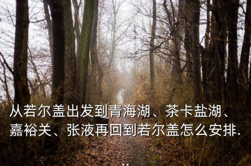 從若爾蓋出發(fā)到青海湖、茶卡鹽湖、 嘉裕關、張液再回到若爾蓋怎么安排...