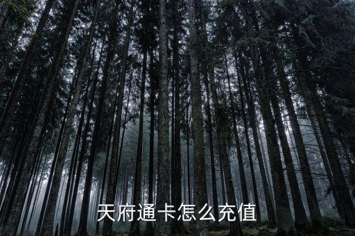 成都銀行怎么充公交卡,遼陽(yáng)哪個(gè)銀行能充公交卡