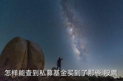 怎樣能查到私募基金買(mǎi)到了那些 股票