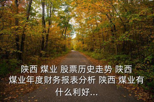  陜西 煤業(yè) 股票歷史走勢 陜西 煤業(yè)年度財(cái)務(wù)報(bào)表分析 陜西 煤業(yè)有什么利好...