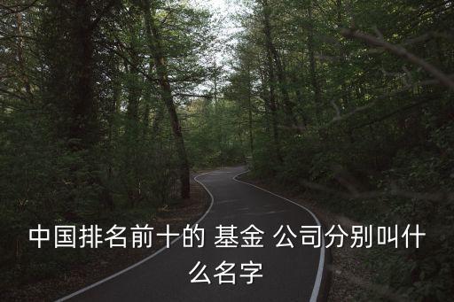 上海大的基金公司,上?；鸸九琶笆?/></a></span><span id=