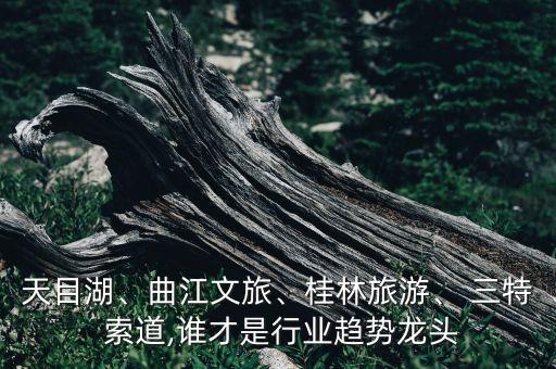 天目湖、曲江文旅、桂林旅游、 三特 索道,誰才是行業(yè)趨勢龍頭
