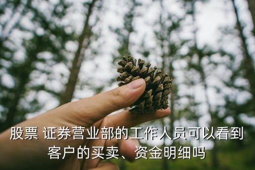 股票 證券營業(yè)部的工作人員可以看到客戶的買賣、資金明細(xì)嗎