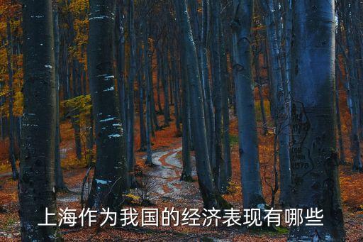 上海作為我國的經濟表現(xiàn)有哪些