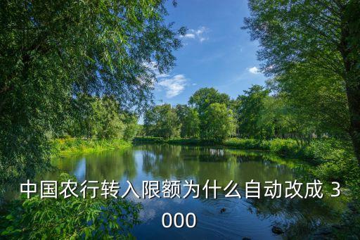 中國農(nóng)行轉(zhuǎn)入限額為什么自動(dòng)改成 3000