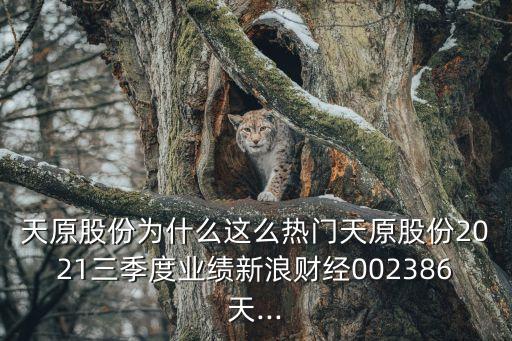 持續(xù)產業(yè)股份公司,日本產業(yè)合作伙伴股份公司