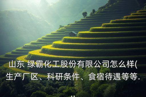 山東 綠霸化工股份有限公司怎么樣(生產(chǎn)廠區(qū)、科研條件、食宿待遇等等...